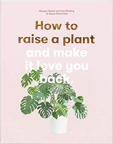 houseplant gift // houseplant lover // plant mama gift // how to keep houseplants alive