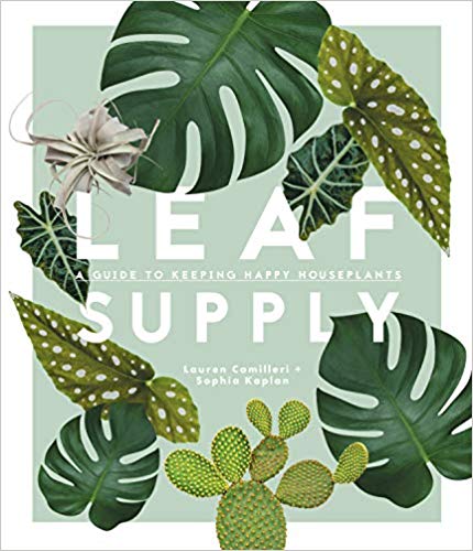 houseplant gift // houseplant lover // plant mama gift // how to keep houseplants alive