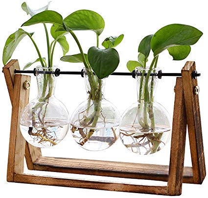 propagation station // diy propagation station // houseplant propagation