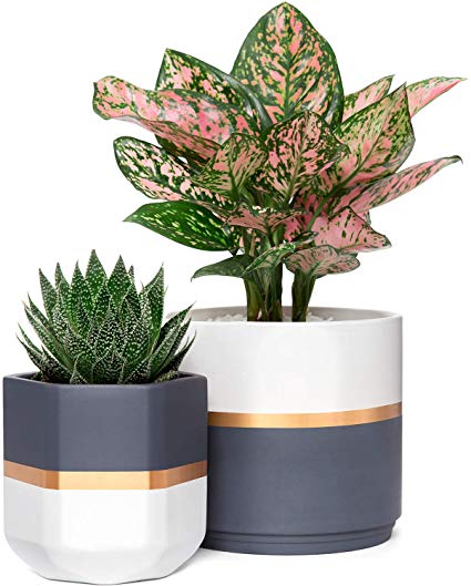plant accessories for a plant lover // plant mama gift // plant lover accessories // plant swag // plant gifts // budget friendly plant gift // gift for girl friend // gift for best friend // houseplant lover // houseplant props // houseplant gifts