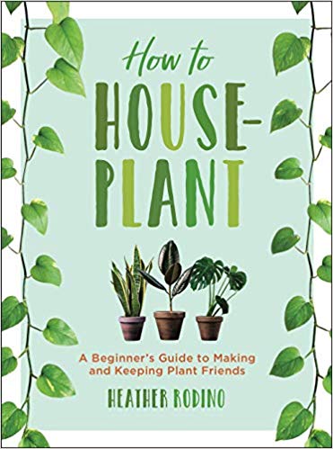 houseplant gift // houseplant lover // plant mama gift // how to keep houseplants alive