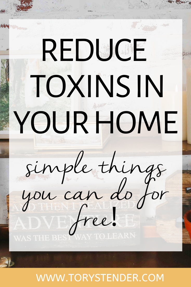 REDUCE TOXINS IN YOUR HOME FOR FREE WITH THESE 6 SIMPLE STEPS - Tory ...