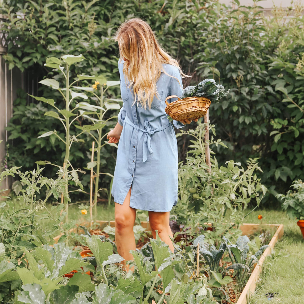 Backyard Vegetable Gardening