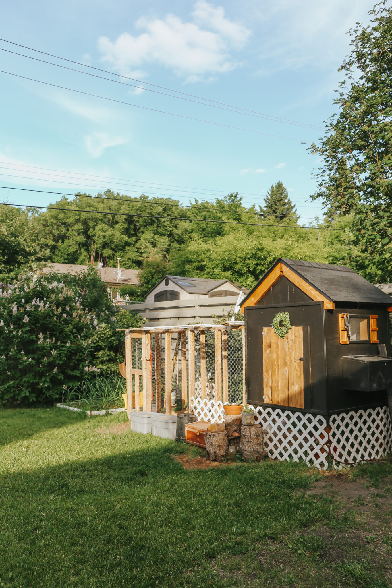10 WAYS TO HOMESTEAD IN THE CITY Tory Stender