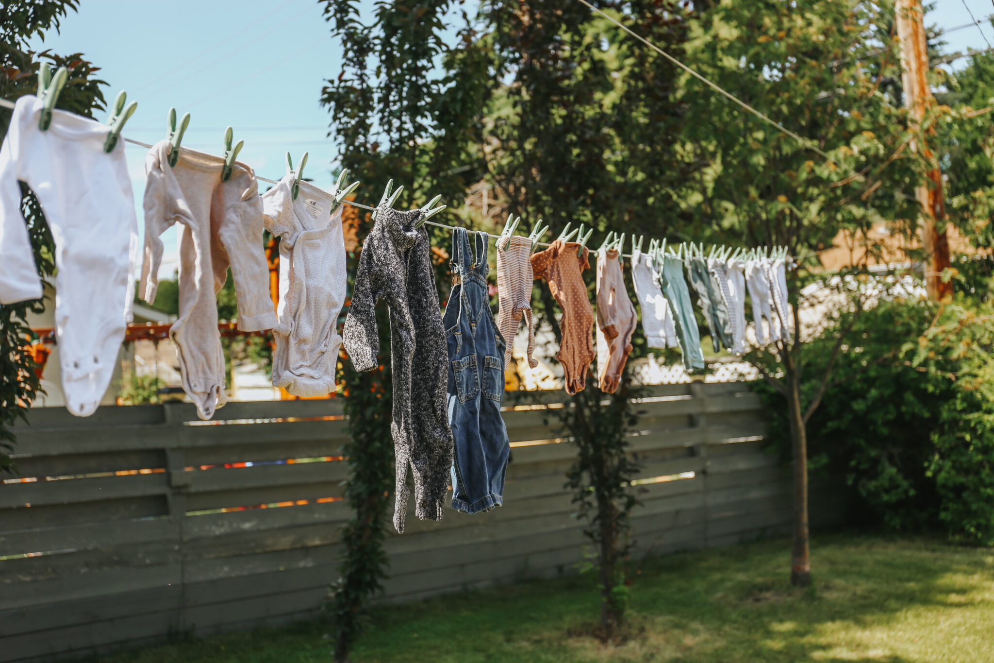 10 WAYS TO HOMESTEAD IN THE CITY Tory Stender